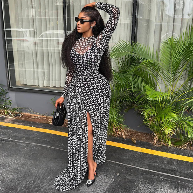 Women Split Slightly Transparent Waist Hip Dress Printed Turtleneck Long Sleeve Dress Ragazza
