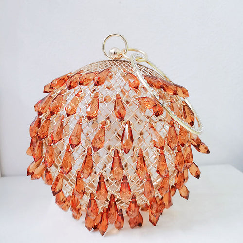 Acrylic Birdcage Dinner Bag