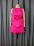 Crew Neck Sleeveless Dress Three Dimensional Floral a Swing Slim Fit Socialite Party Evening Dress Bella Mia